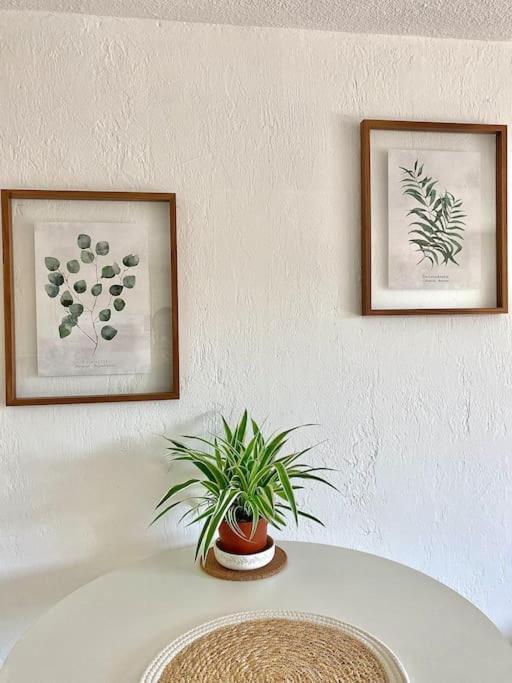 Appartement Studio